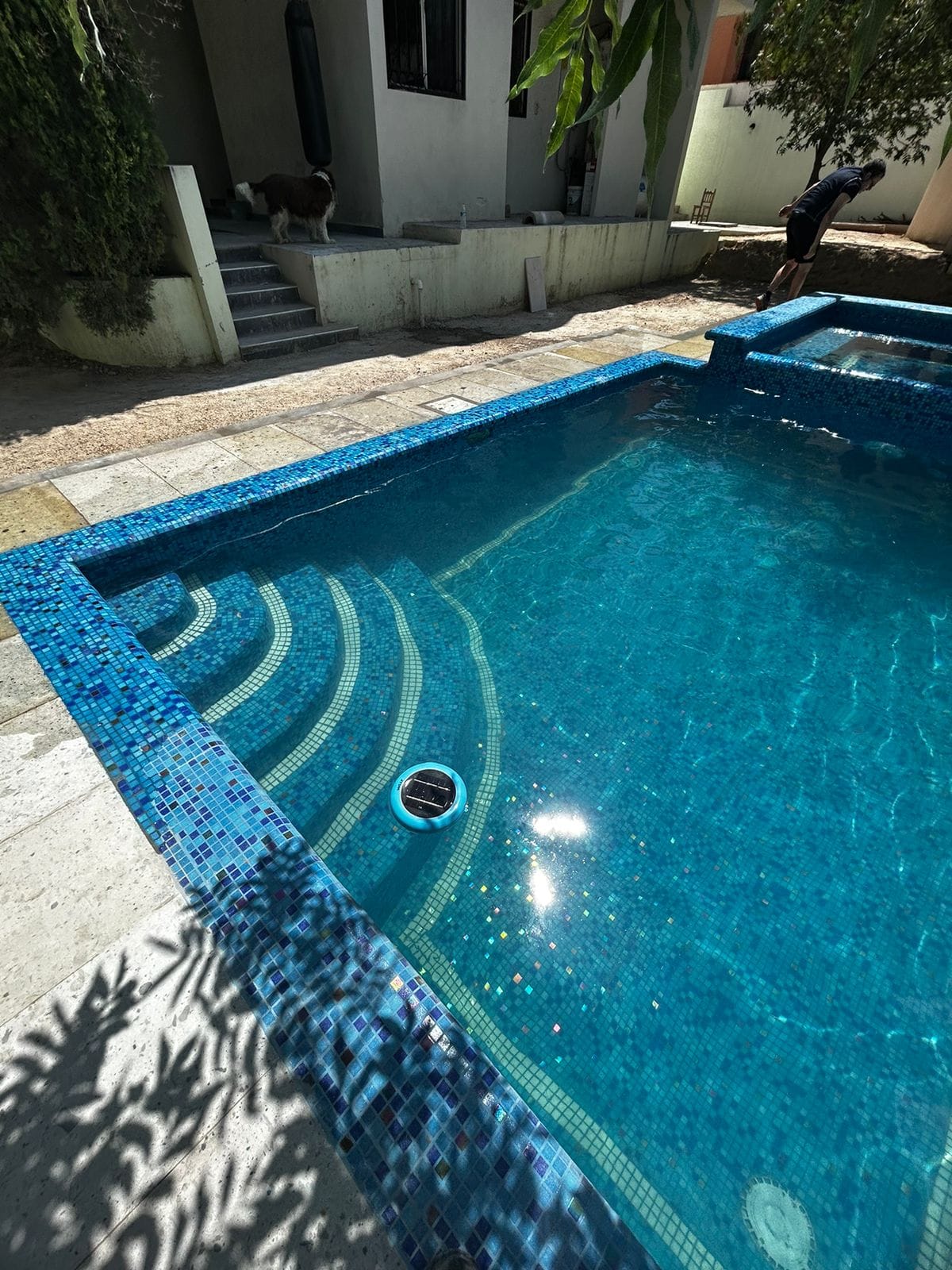 487392437_1225505872698529_4519711352622569314_n